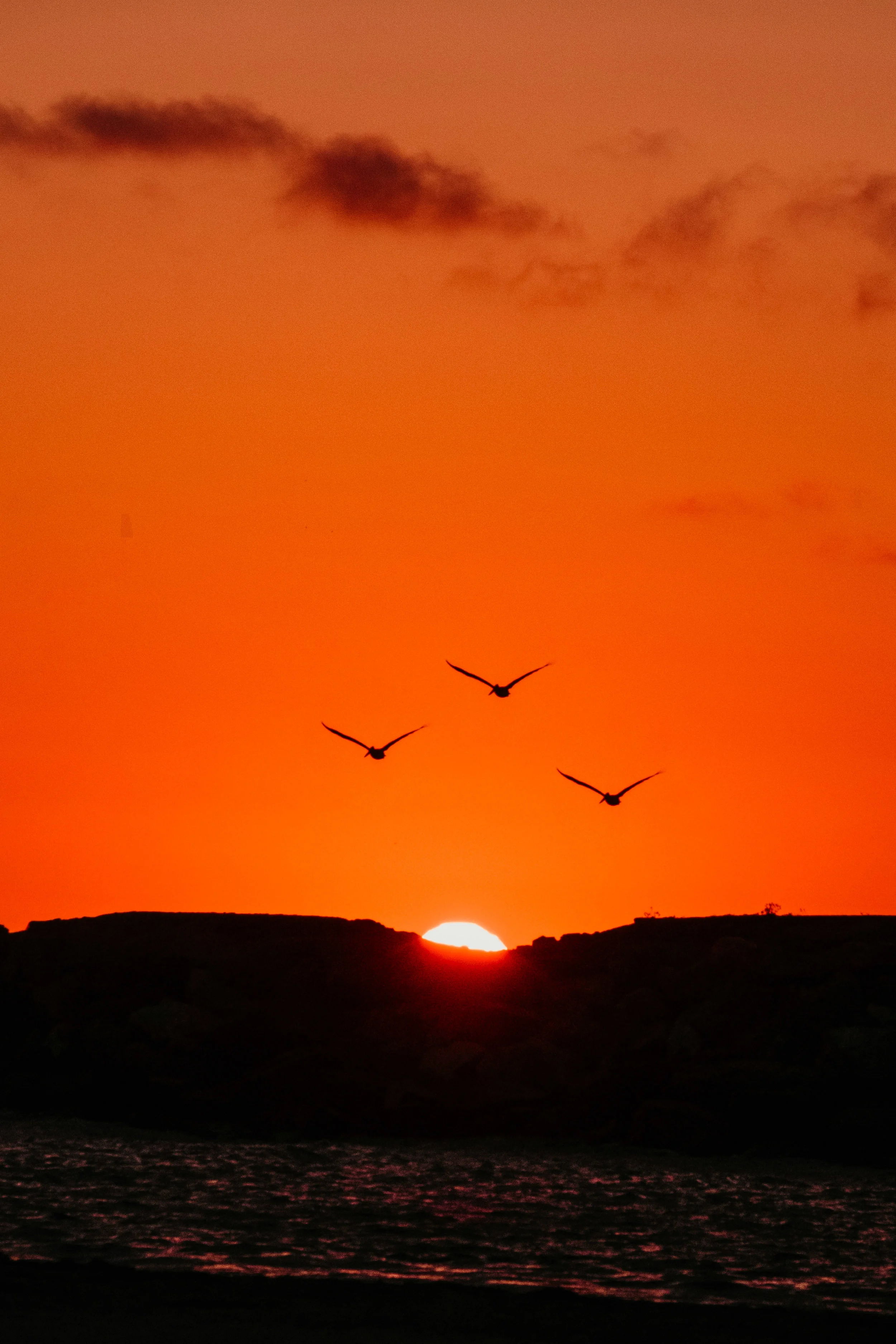 DSCF9148.jpg