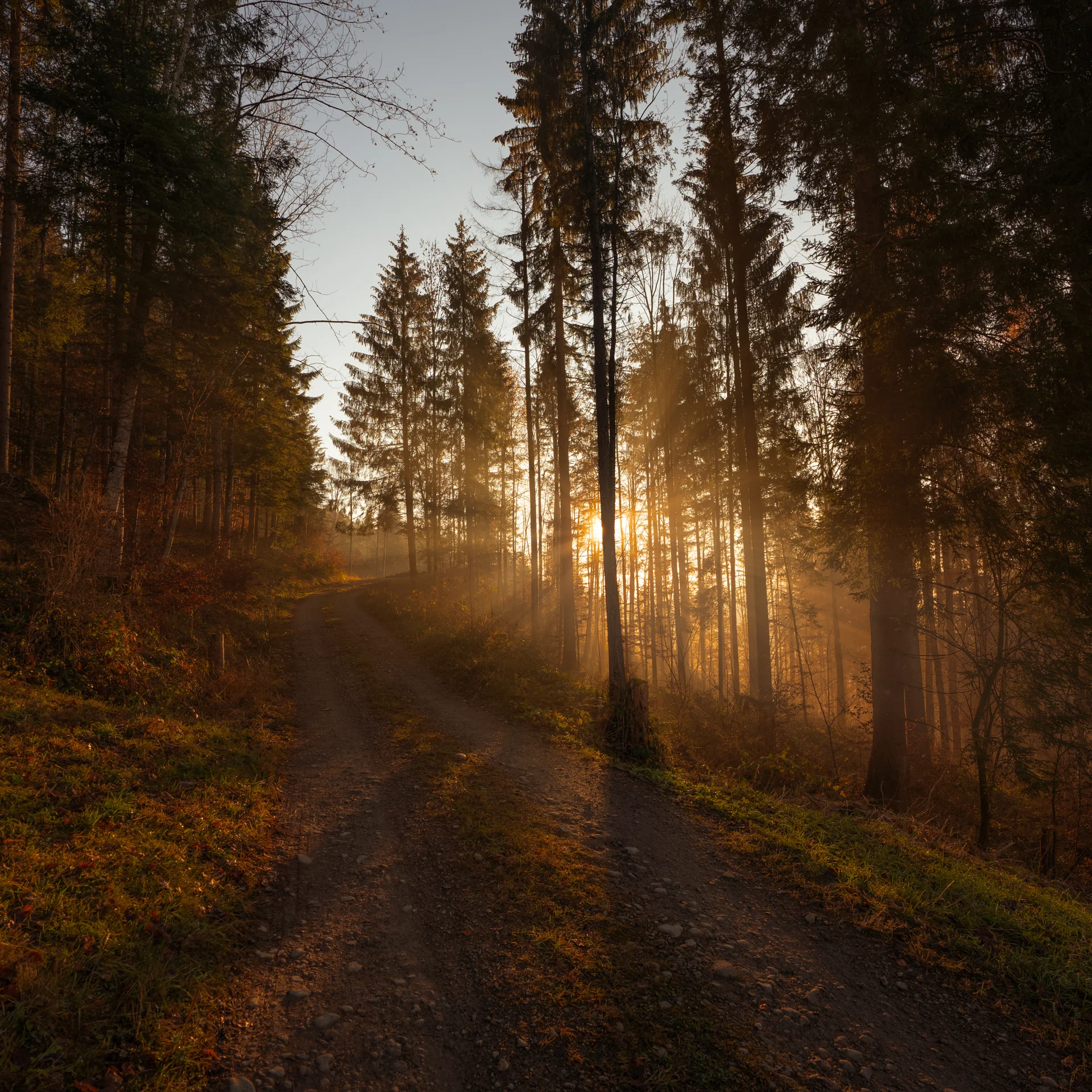landscape-small-2.jpg