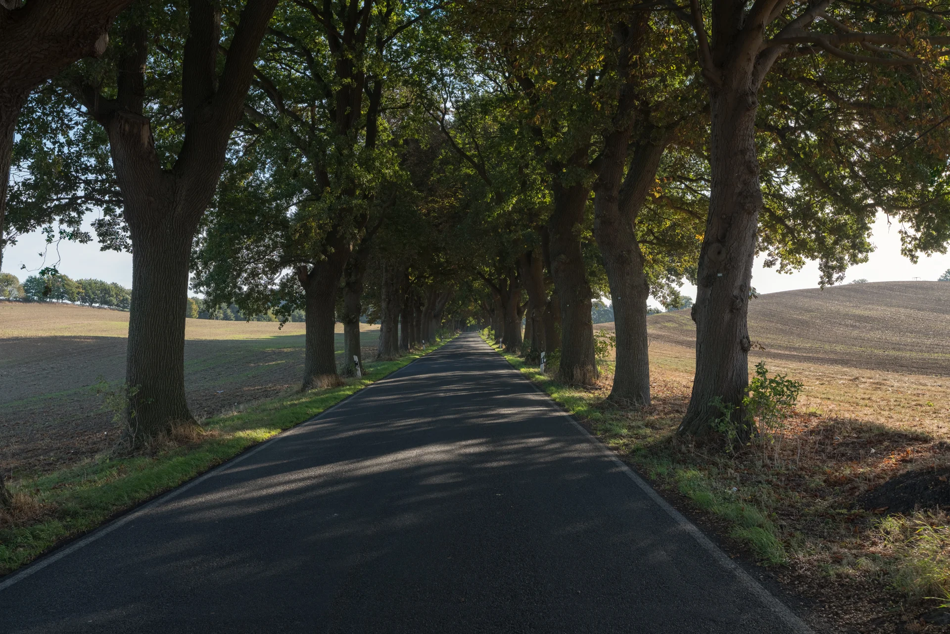 landscape-small-3.jpg