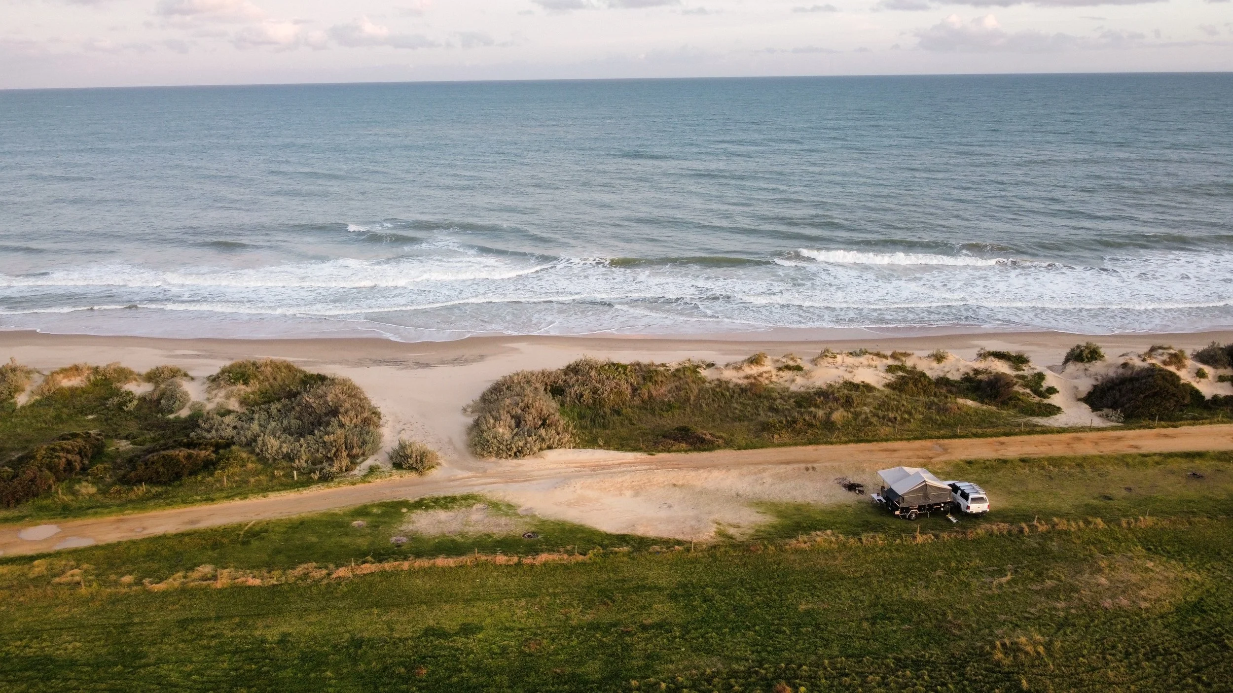 Panther at the beach.jpeg