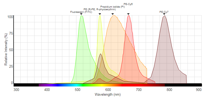 Propidium Iodide is a very useful dye, particularly in less fluormetrically complex assays, but in multicolour assays the broad emission profile of the dye can result in significant compensation problems across multiple channels.
