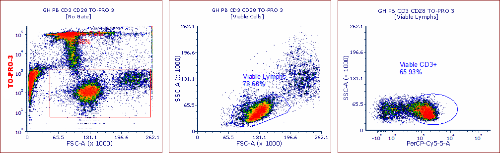 When a viability dye is added (in this case TO-PRO-3), it becomes apparent that one of these populations is made up of membrane compromised cells as the left population disappears when excluding cells based on dye uptake. Furthermore, downstream gating shows that when the dead cells are excluded, the percentage of CD3+ cells drops markedly. The viability dye has eliminated a significant proportion of false positive events.
