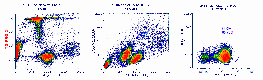 Events in this data set were only gated on classical FSC vs SSC parameters, and 2 distinct lymphocyte-like populations are seen.