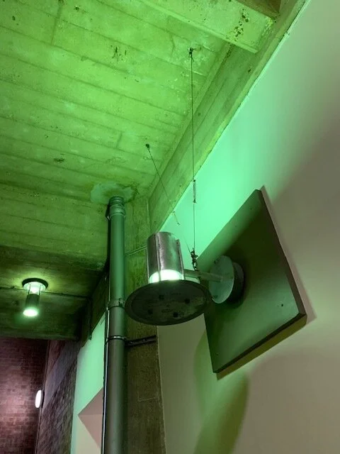 tom flat green light .jpg