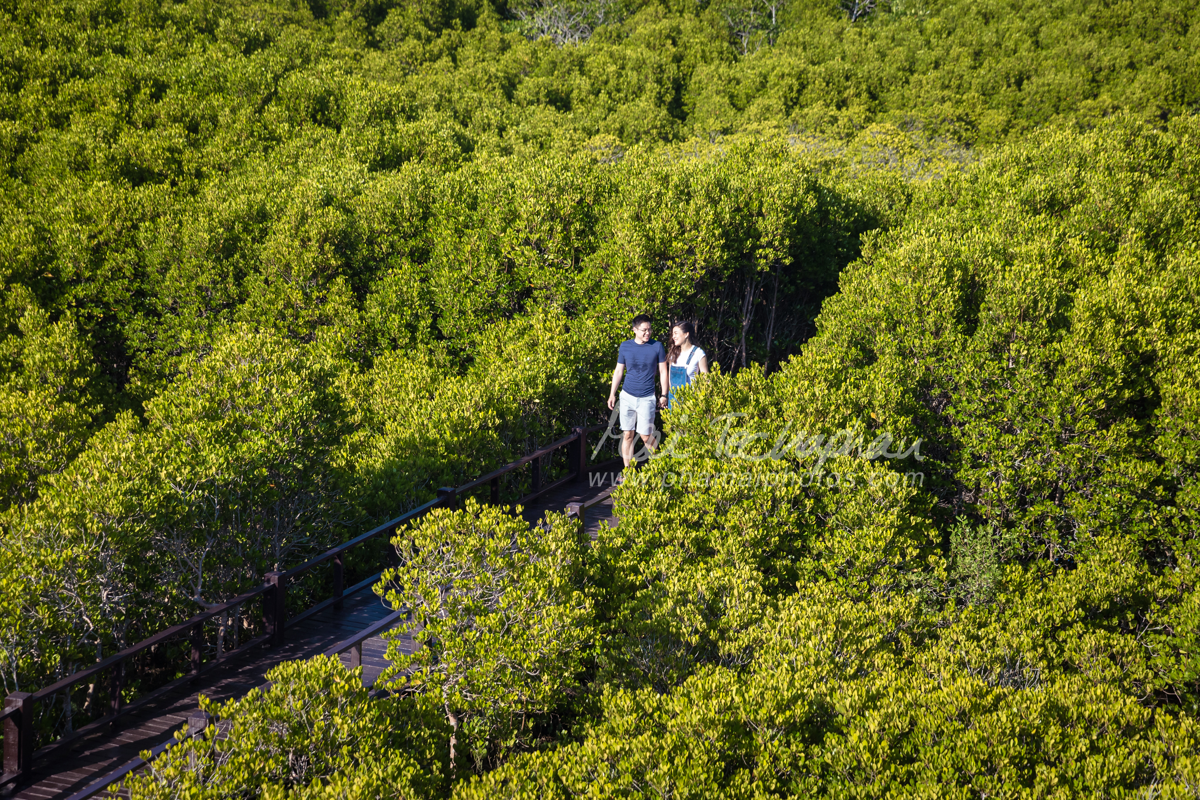 2018_HuaHin-0341.jpg