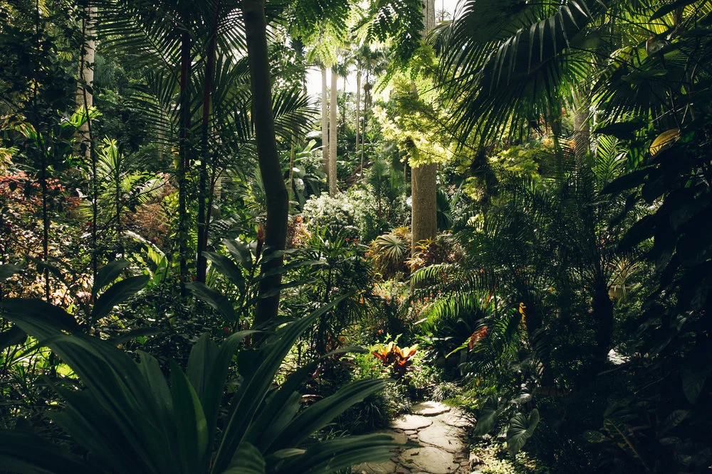 huntesgardenlr-24.jpg