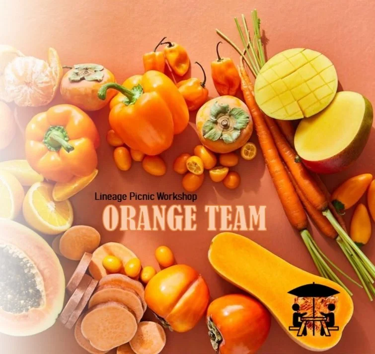 Healthy Cooking Workshop-3  ورشة عمل للطبخ الصحي بنكهة البرتقال