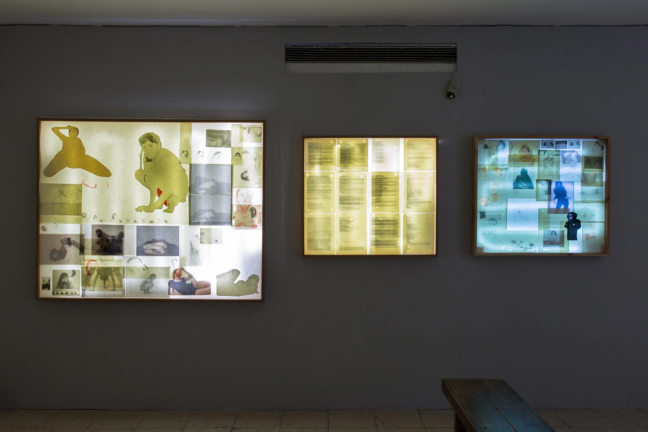 Installation view of Paper Skins (Light boxes) 