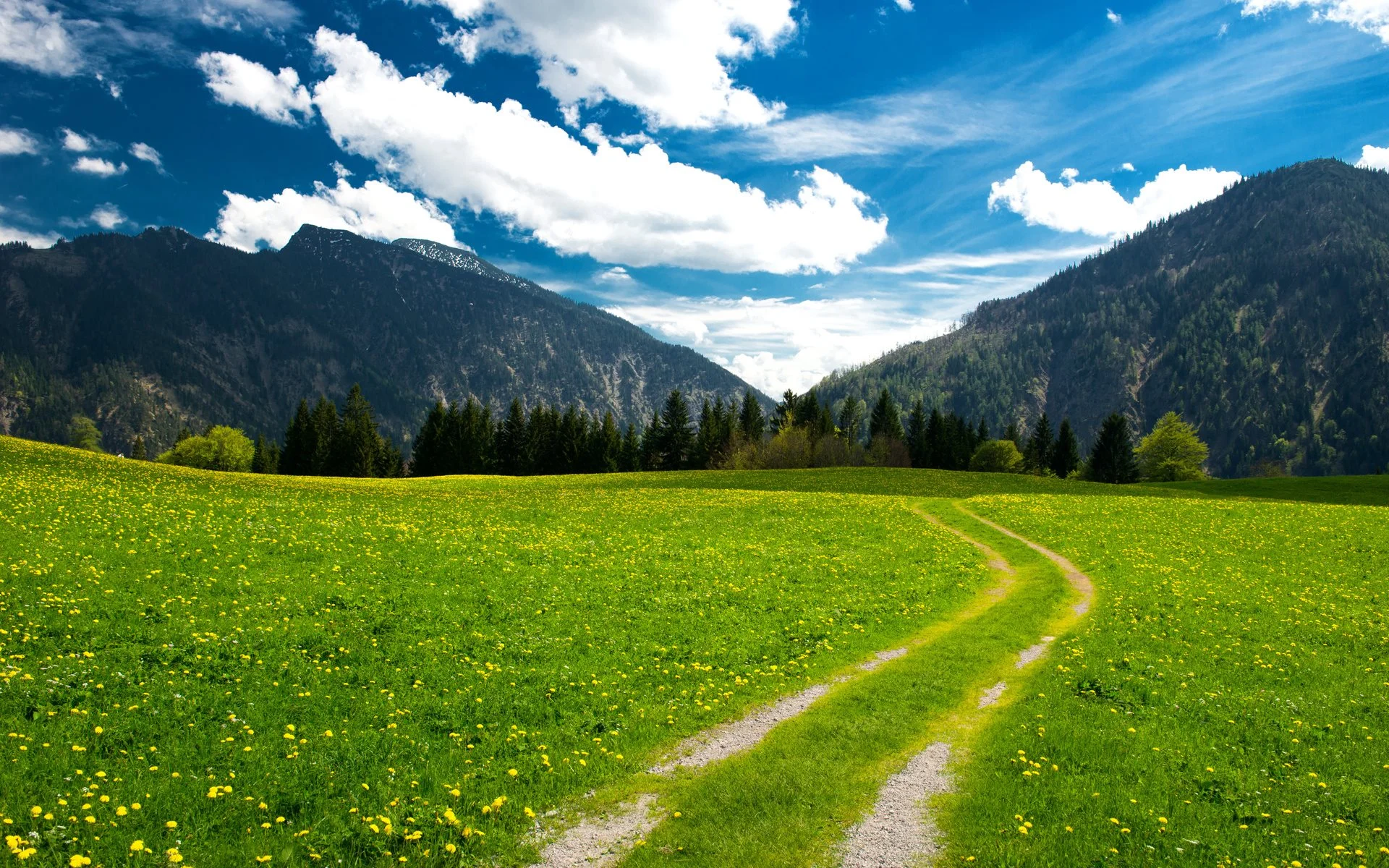 Bavarian-Alps-(Germany).jpg