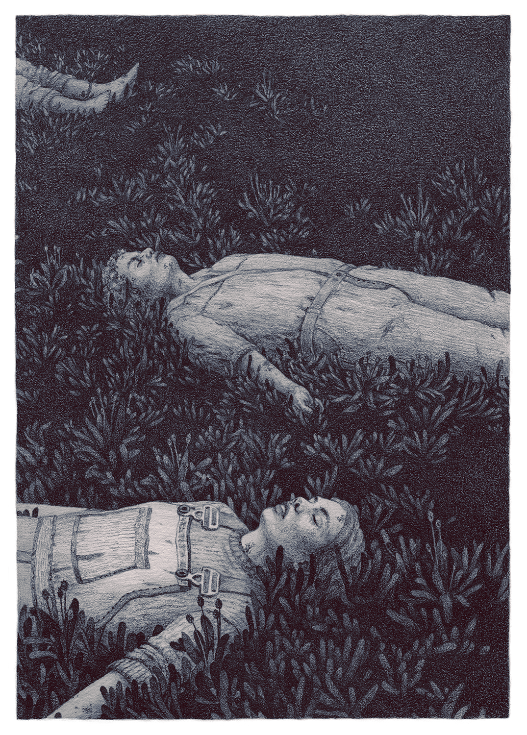 Rosalie-Lettau-Flora-3-Visions.png
