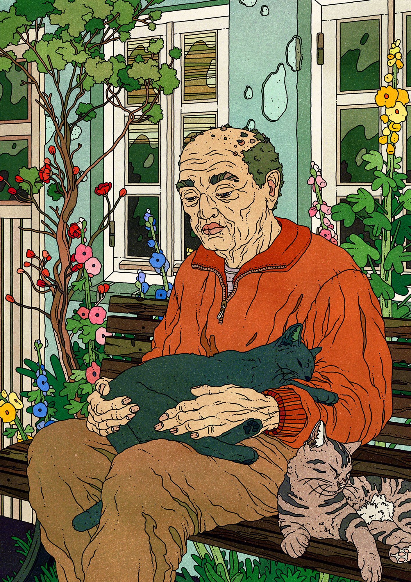 Cats