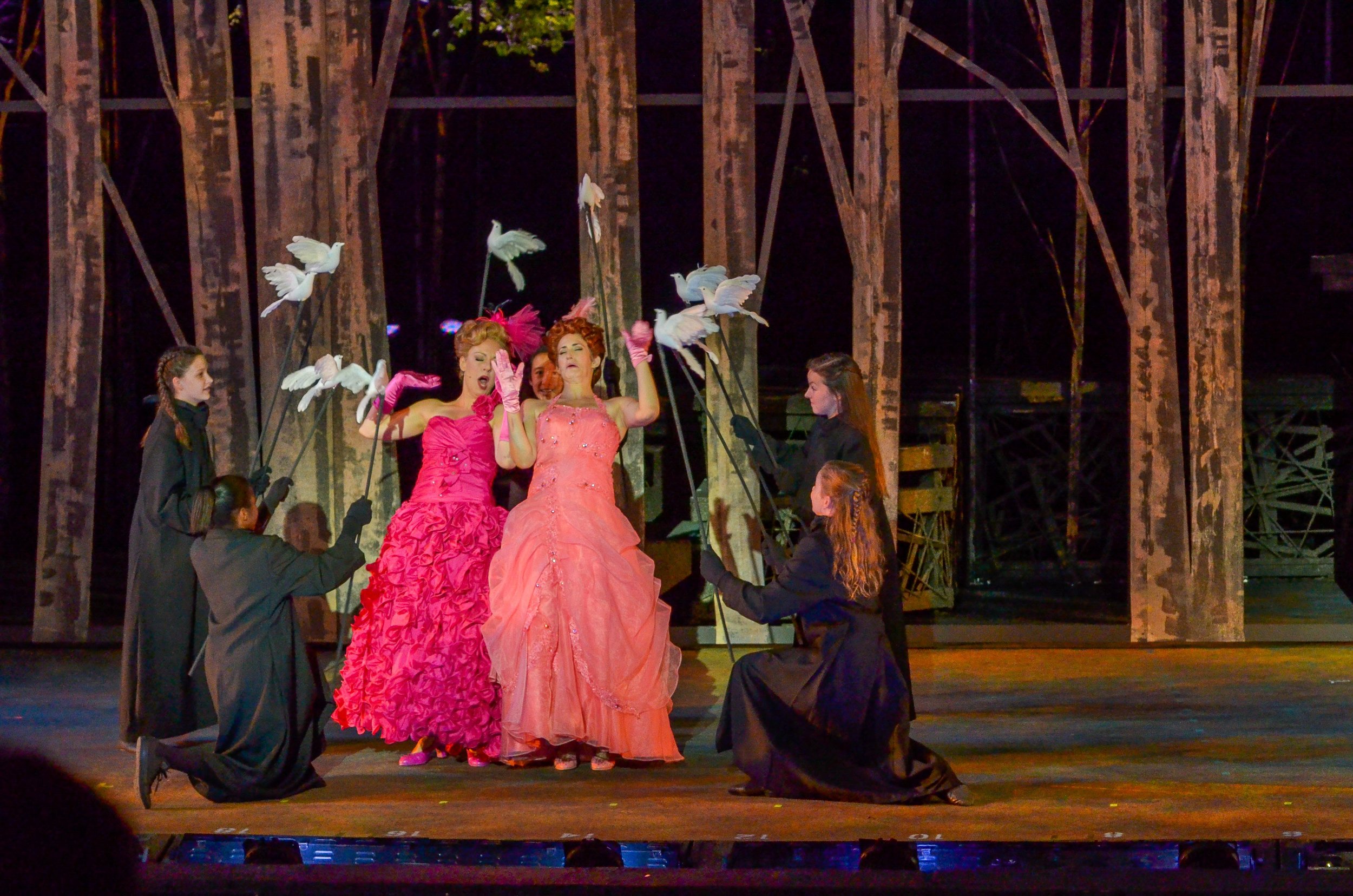 Into The Woods at The Muny-78.JPG