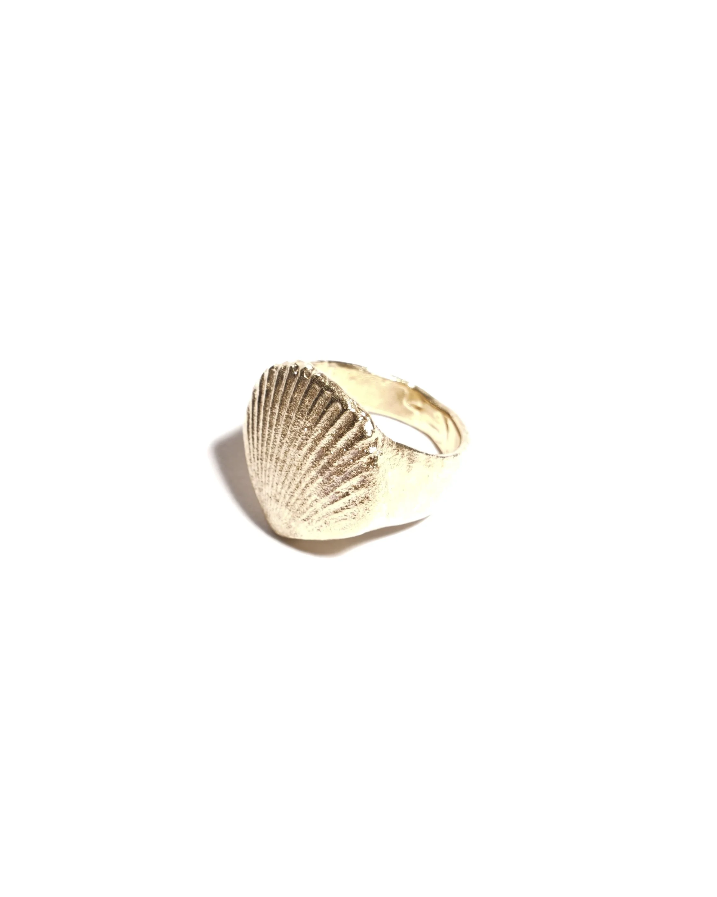 ShellRing_2.jpg
