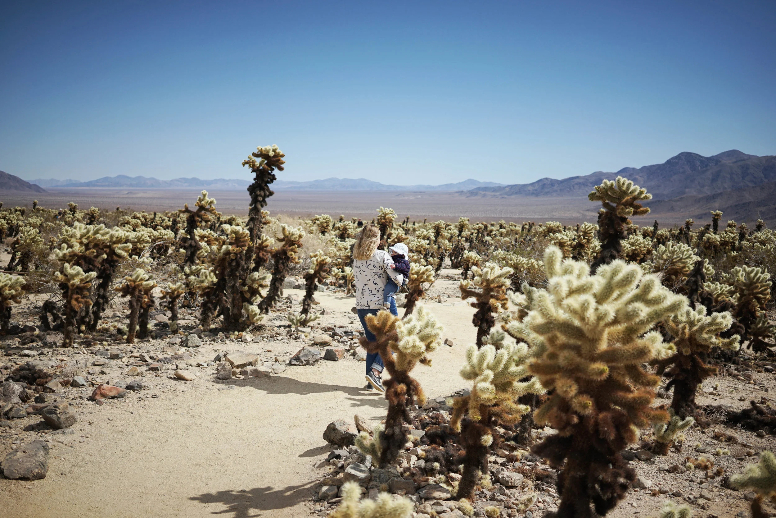 Odette | Travel Edit: Joshua Tree