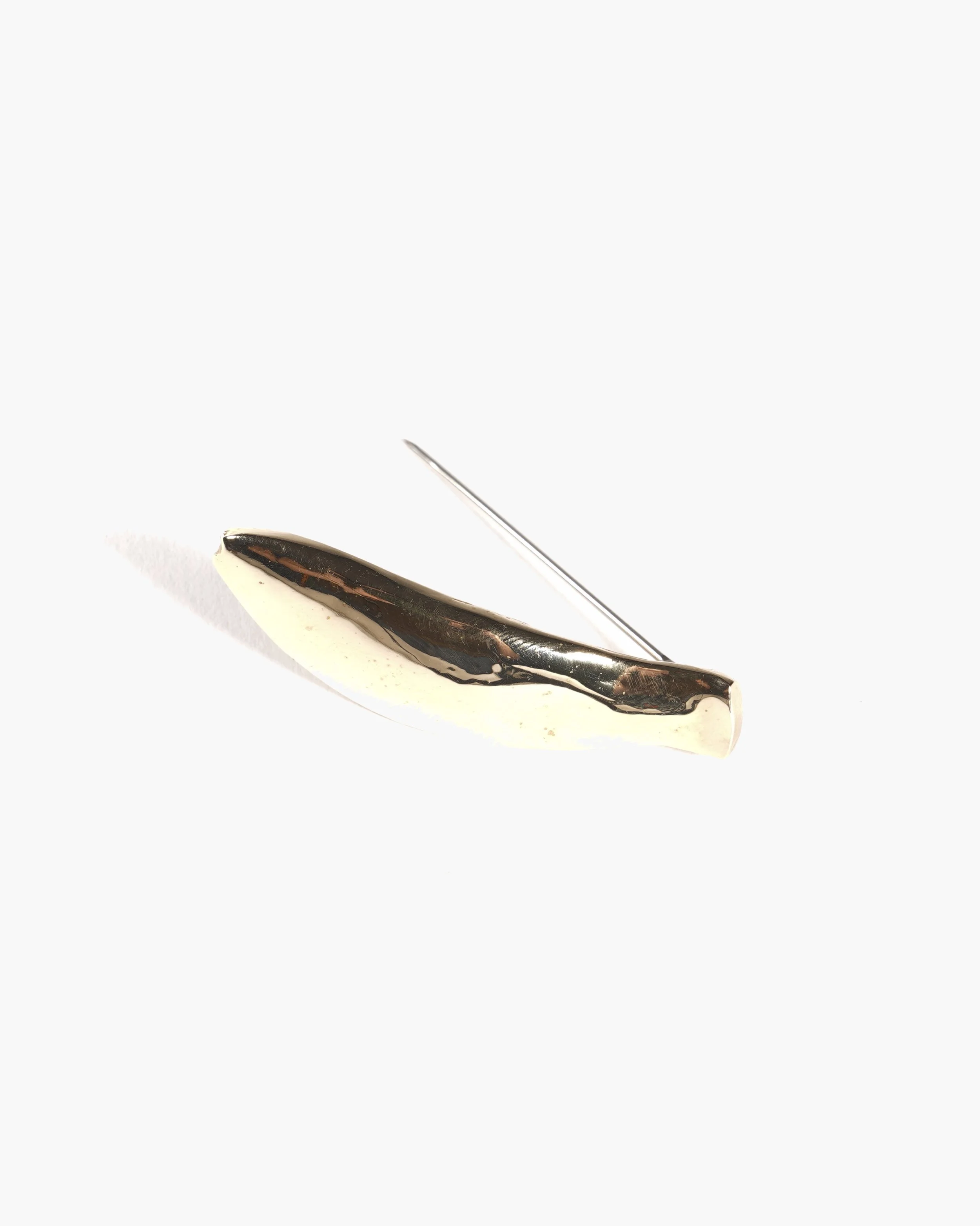 SardineBrooch_2.jpg