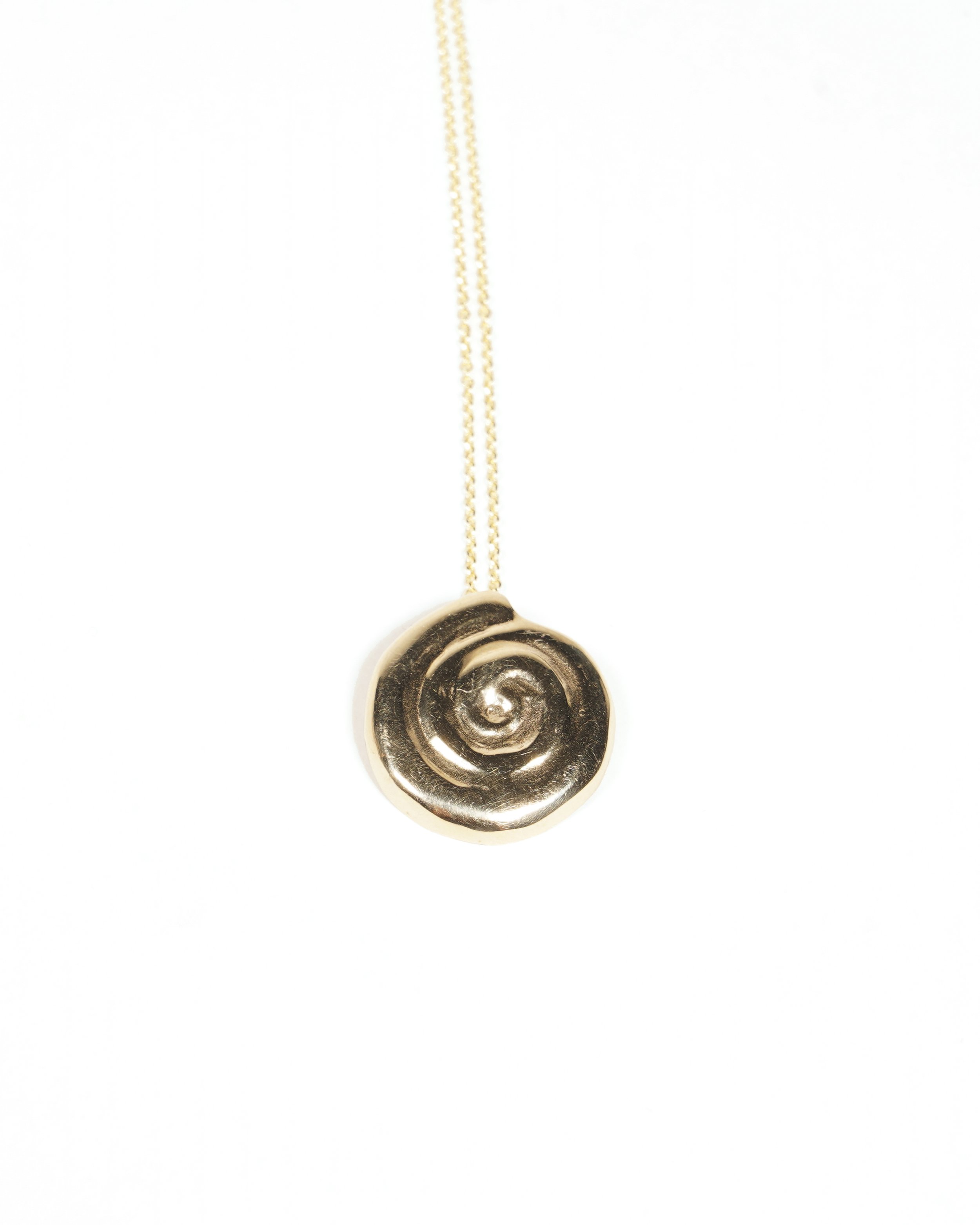 SpiralShellN_1.jpg