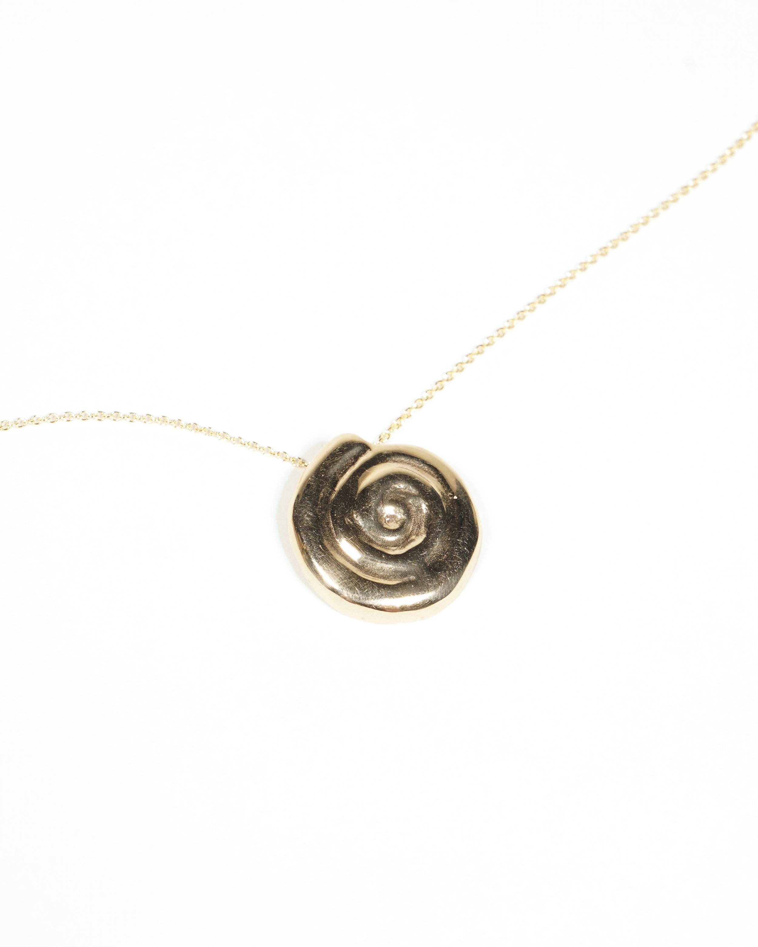 SpiralShellN_2.jpg