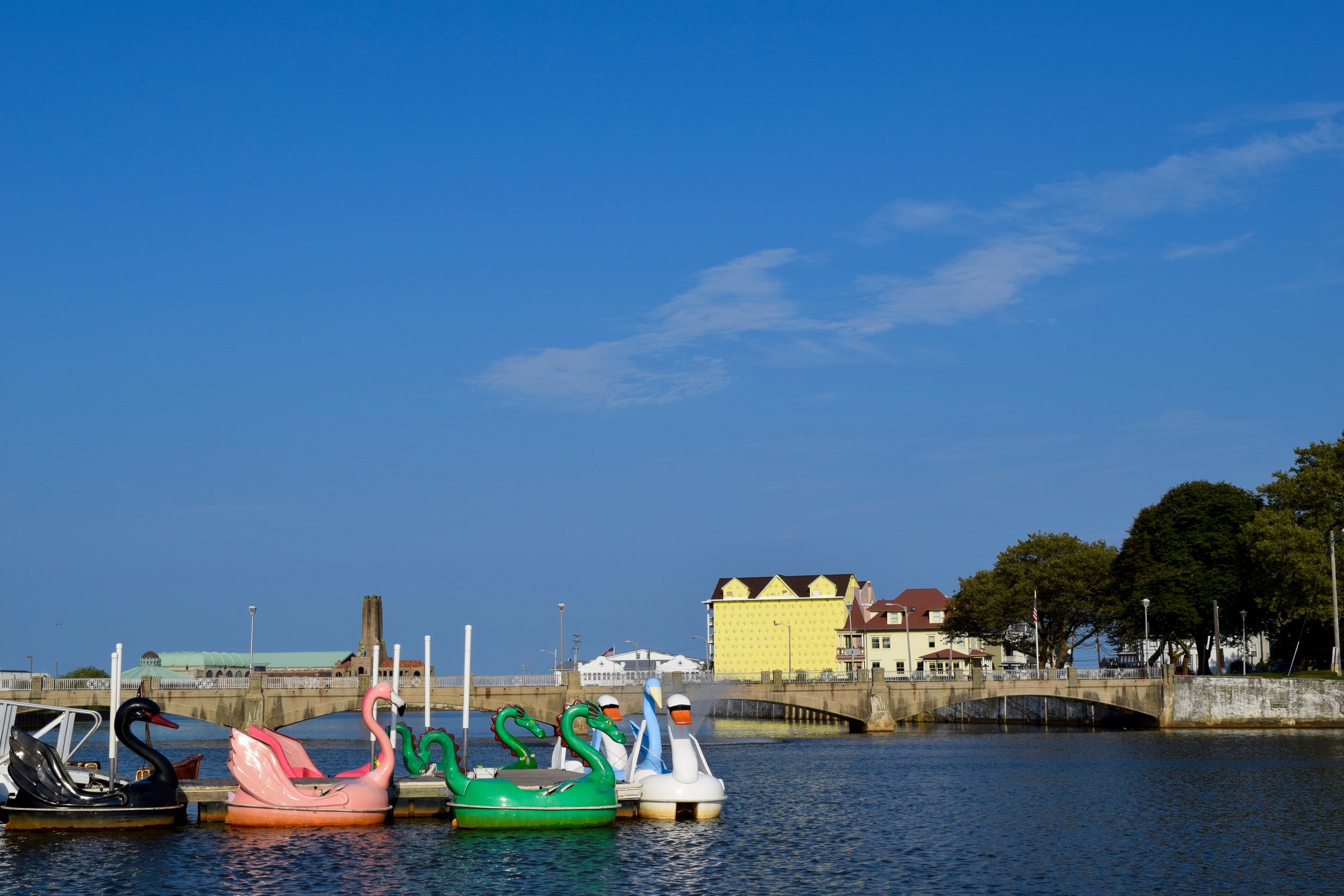DSC_0457.jpg