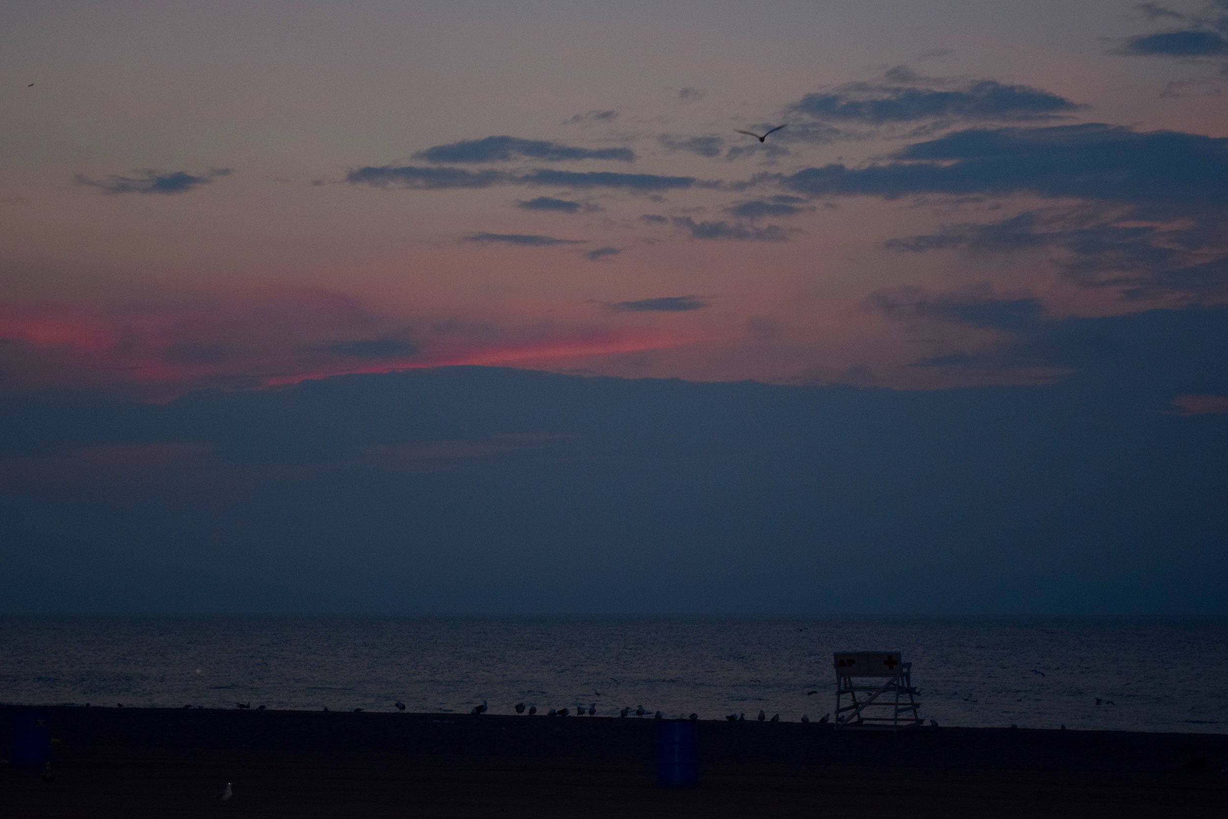 DSC_0494.jpg