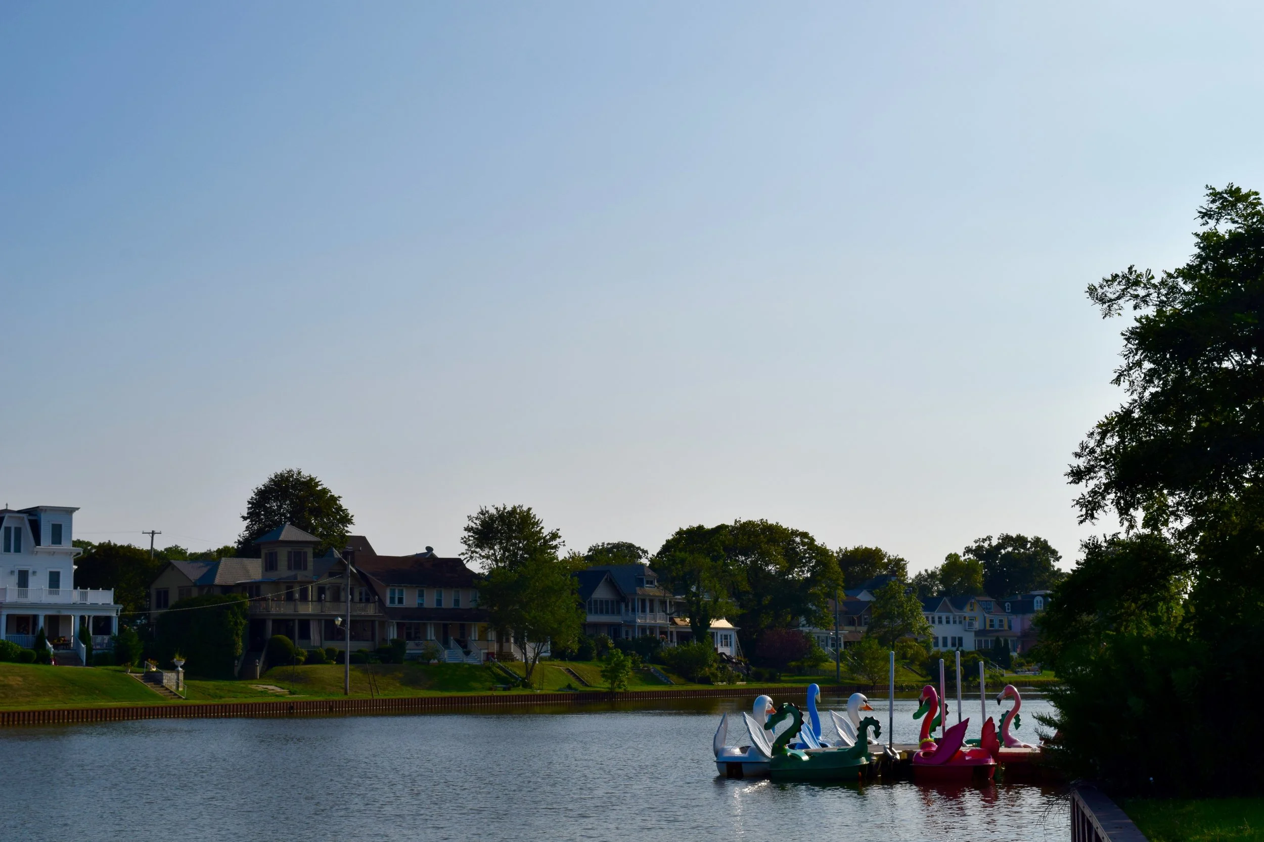 DSC_0460.jpg