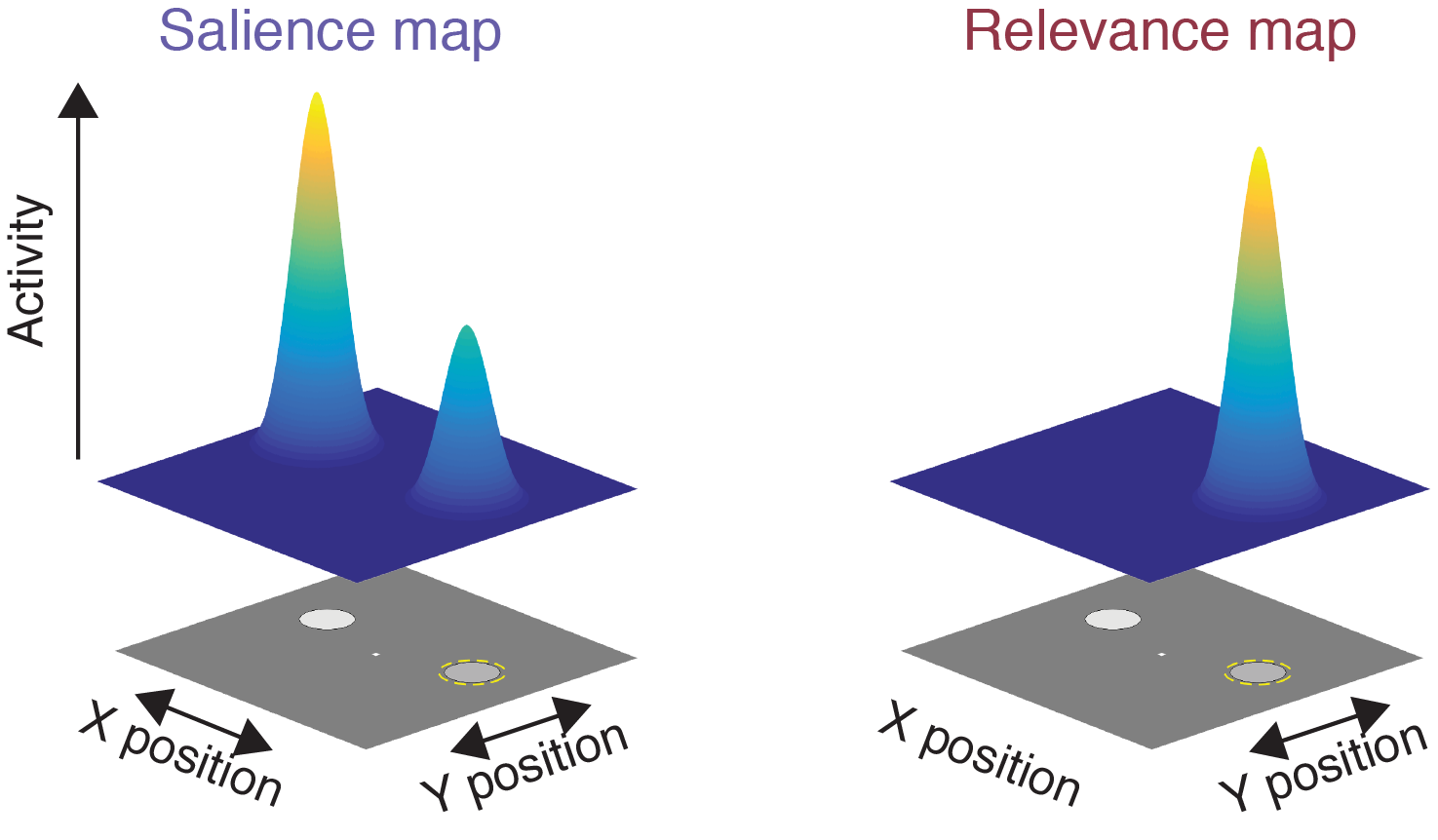 Cartoon depiction of how salience and relevance each impact priority maps