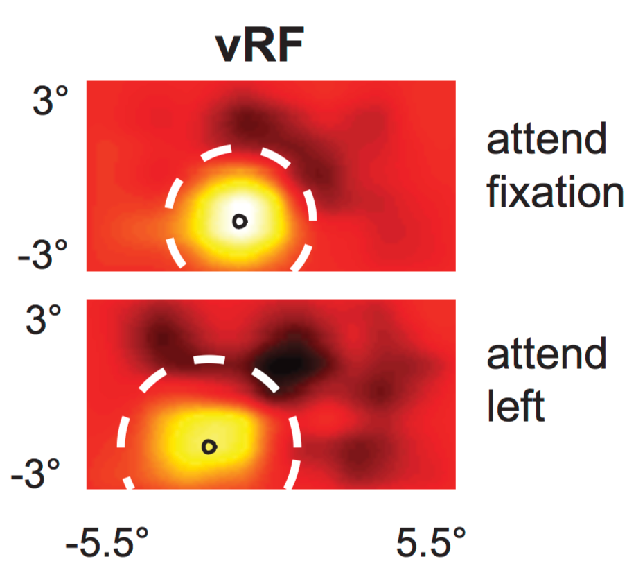 VoEtAl2018_vRF_attn.png