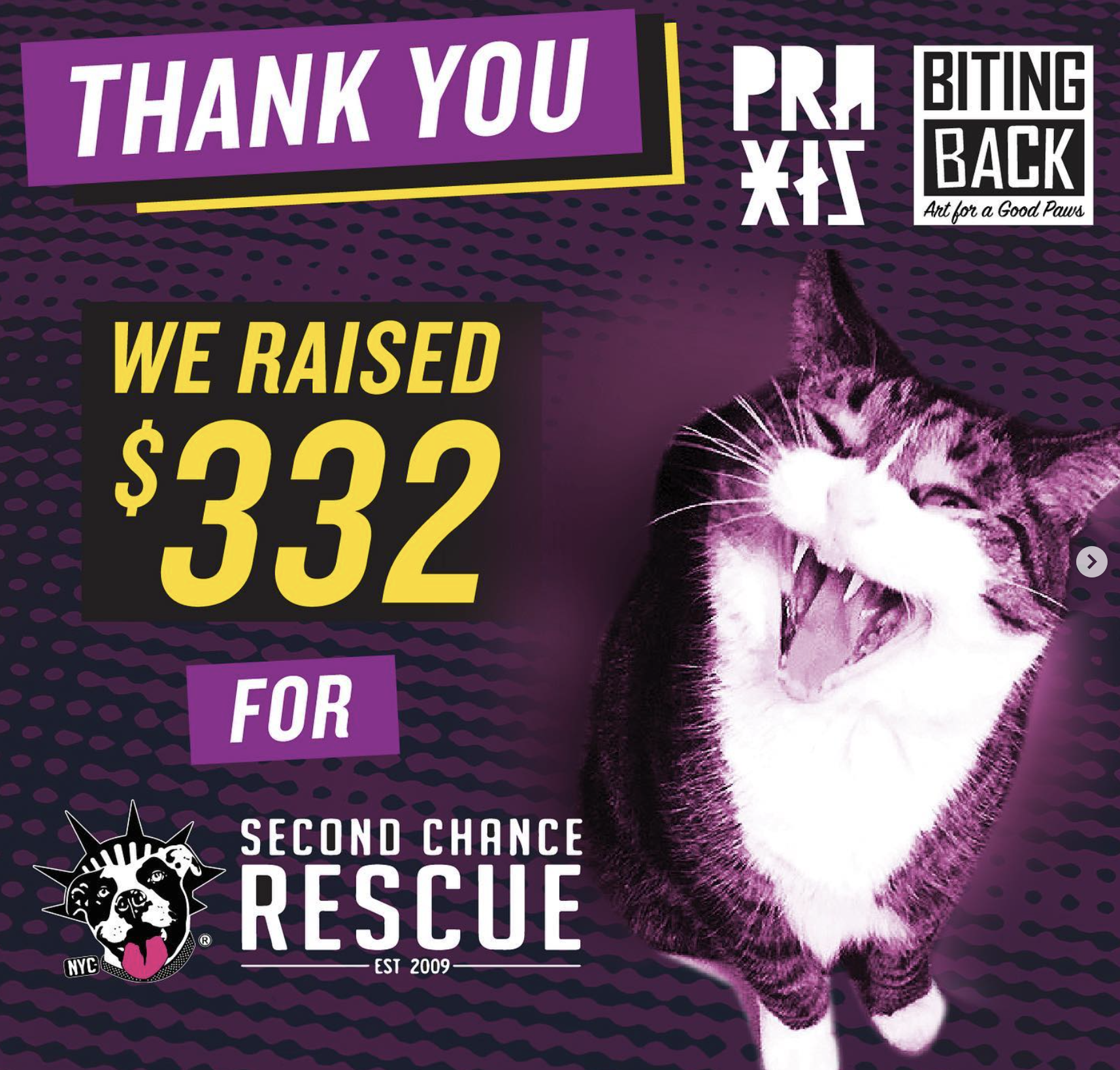 Raised $332 for NYCSCR