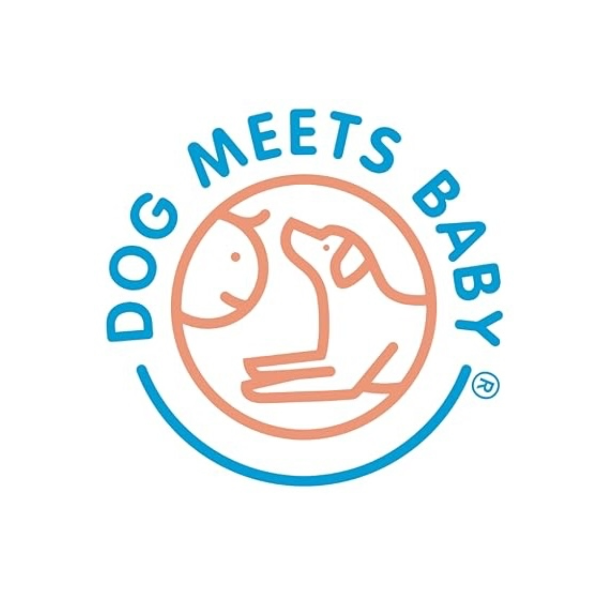 5 COURSE BUNDLE &amp; BOOK