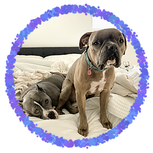 BELLA &amp; LUCA