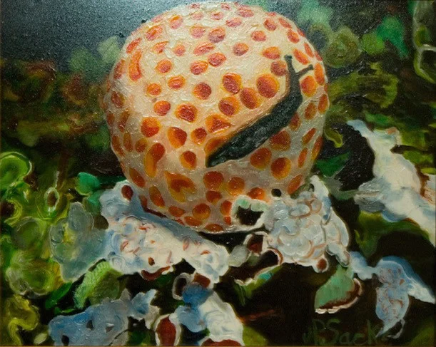 Fungus Amongus, Oil, 8Hx10W, $295, Framed