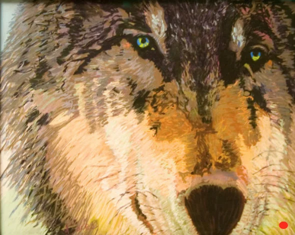 Yellowstone Wolf, Pastel, 15Hx15W, SOLD