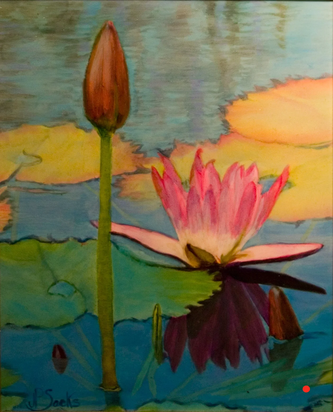 Water Lily of Botswana, Watercolor, 10Hx8W, SOLD