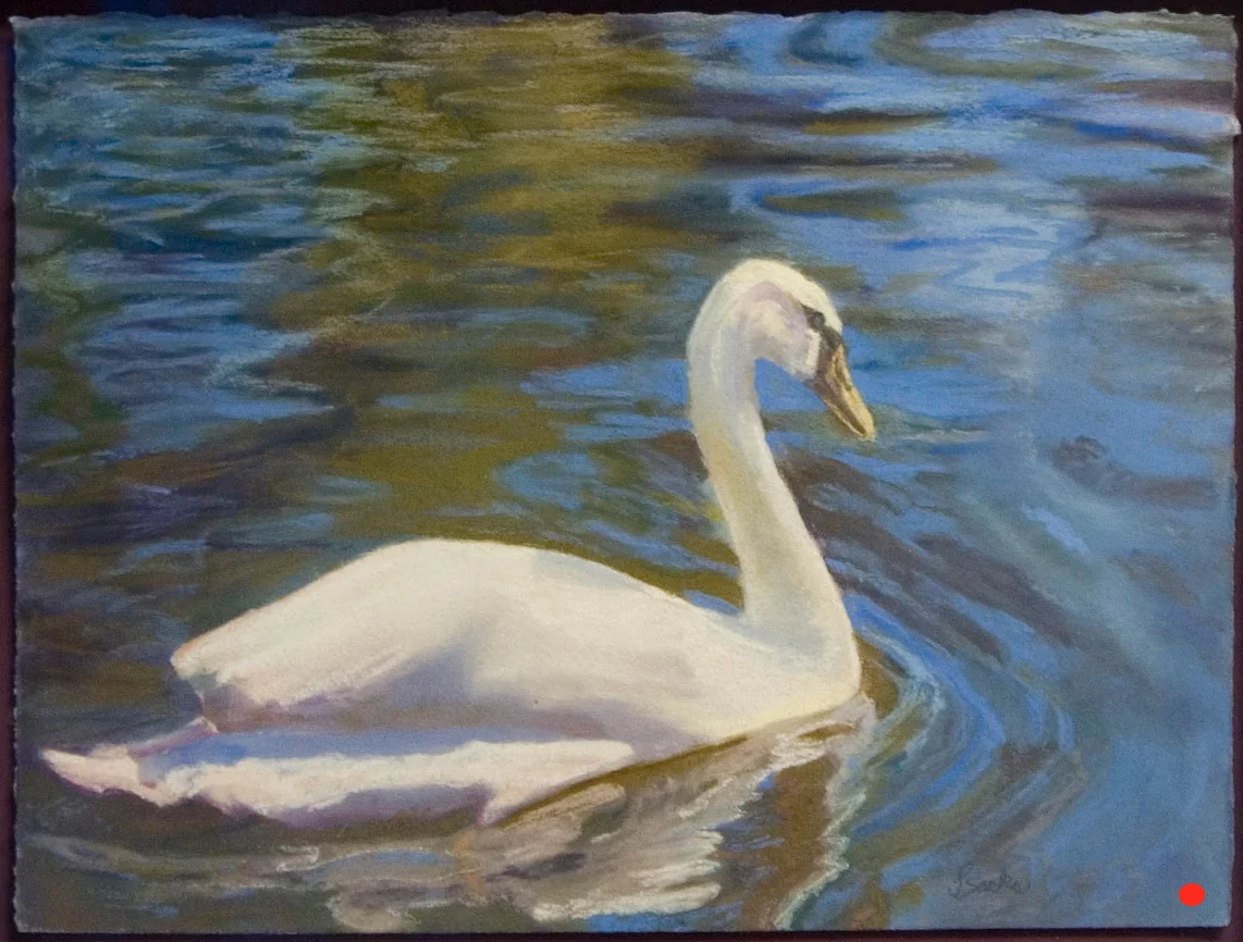 Keukenhof Gardens’ Swan, Pastel, 15Hx18W, SOLD
