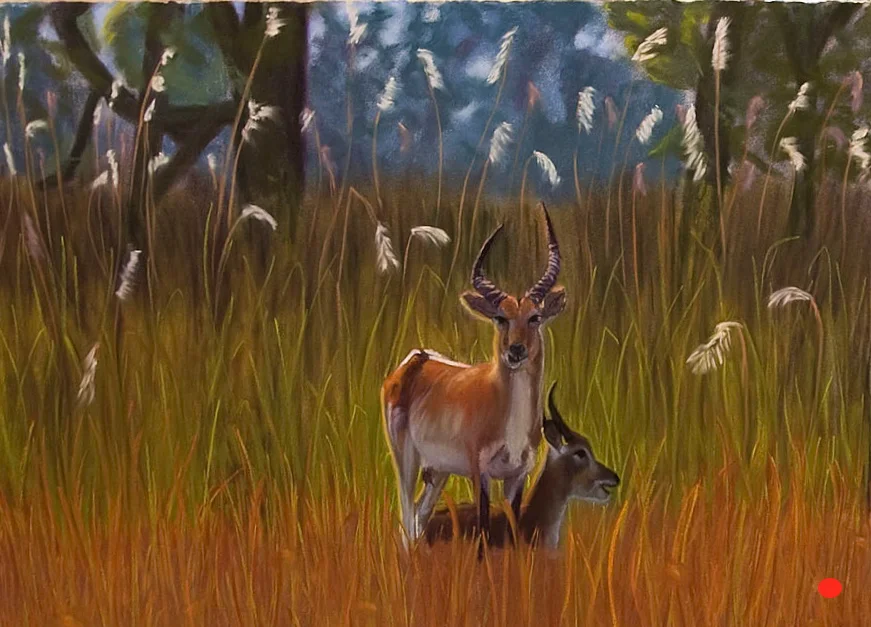 Tanzanian Water Buck and Baby, Pastel, 30Hx48W, SOLD