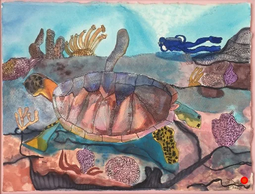 Little Dix Bay Turtle, Watercolor, 18Hx24W, SOLD