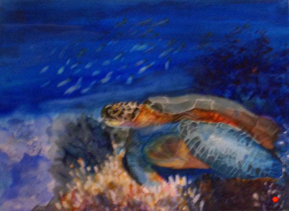 Undersea, Watercolor, 12Hx18W, SOLD