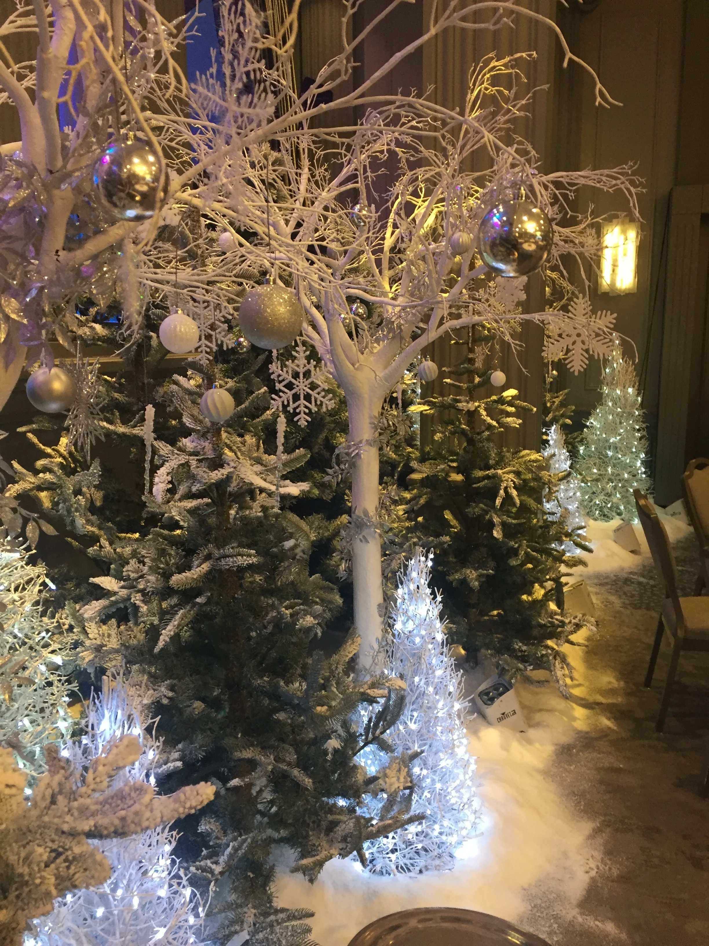 Design & Installation - Private Pre Wedding Event