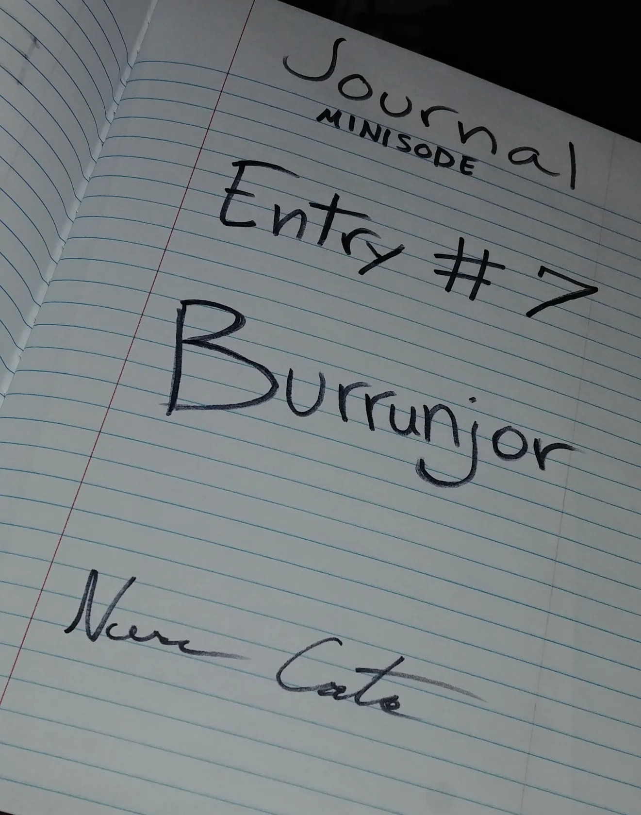 Journal #7 - Bonjour, Burrunjor
