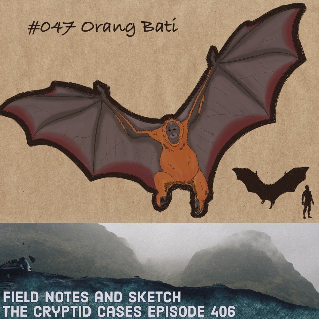 The Cryptid Cases podcast, Episode 406 Field Sketch

Entry #47: Orang Bati, an orangutan-like creature with a wingspan of 16 feet

More sketches at https://www.littlegiantmonsters.com/the-cryptid-cases

#cryptids #orangbati #cryptidlore #cryptidart #