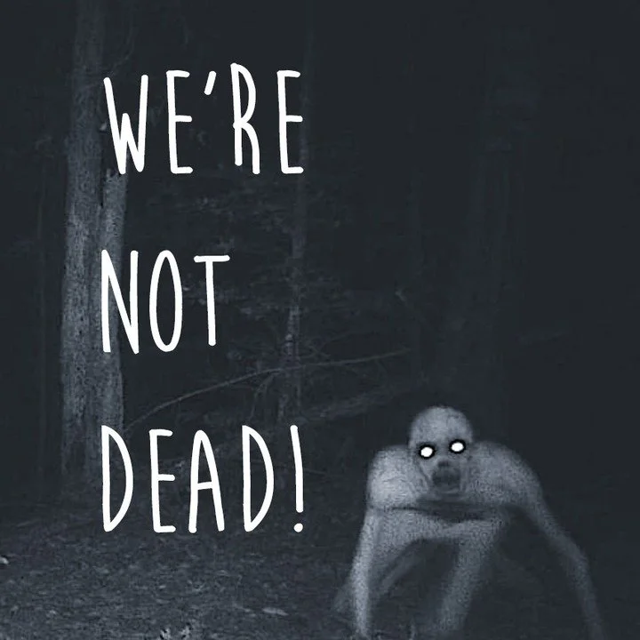 Hey all. I know it's been quiet for a while, but we're not dead! In short, 2023 was rough on the team for a lot of reasons. There's only 4 of us, so anything that effects one of us impacts us all! We update monthly on patreon, but realized we should 