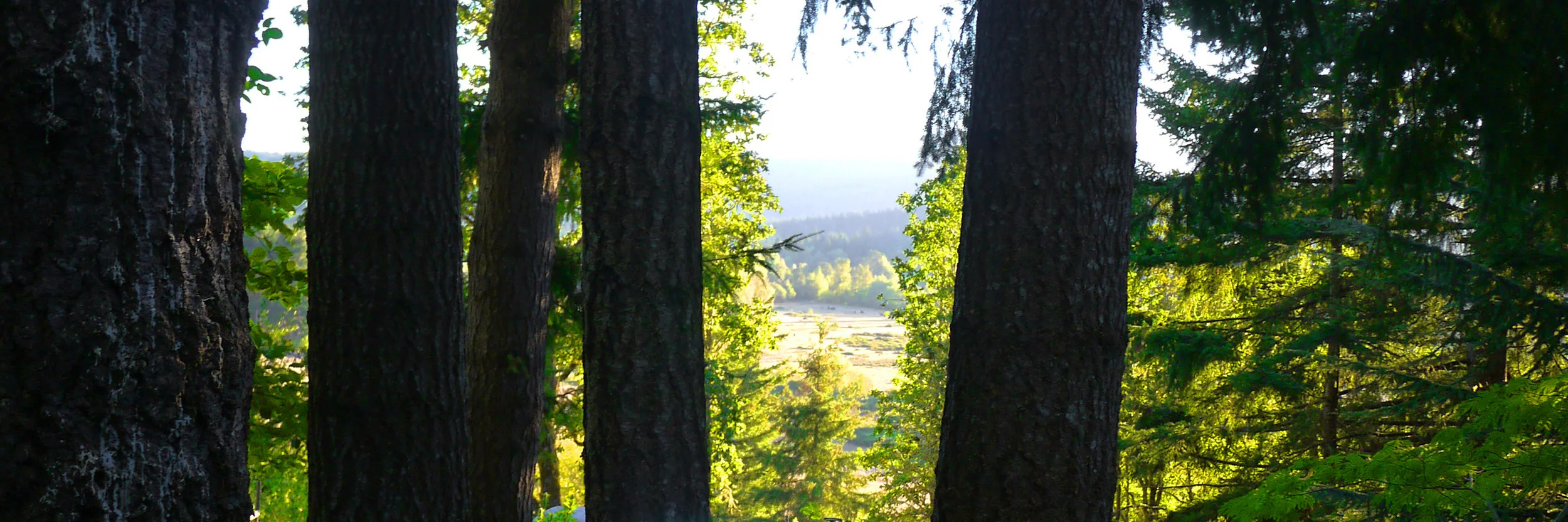 02 top crop float.JPG