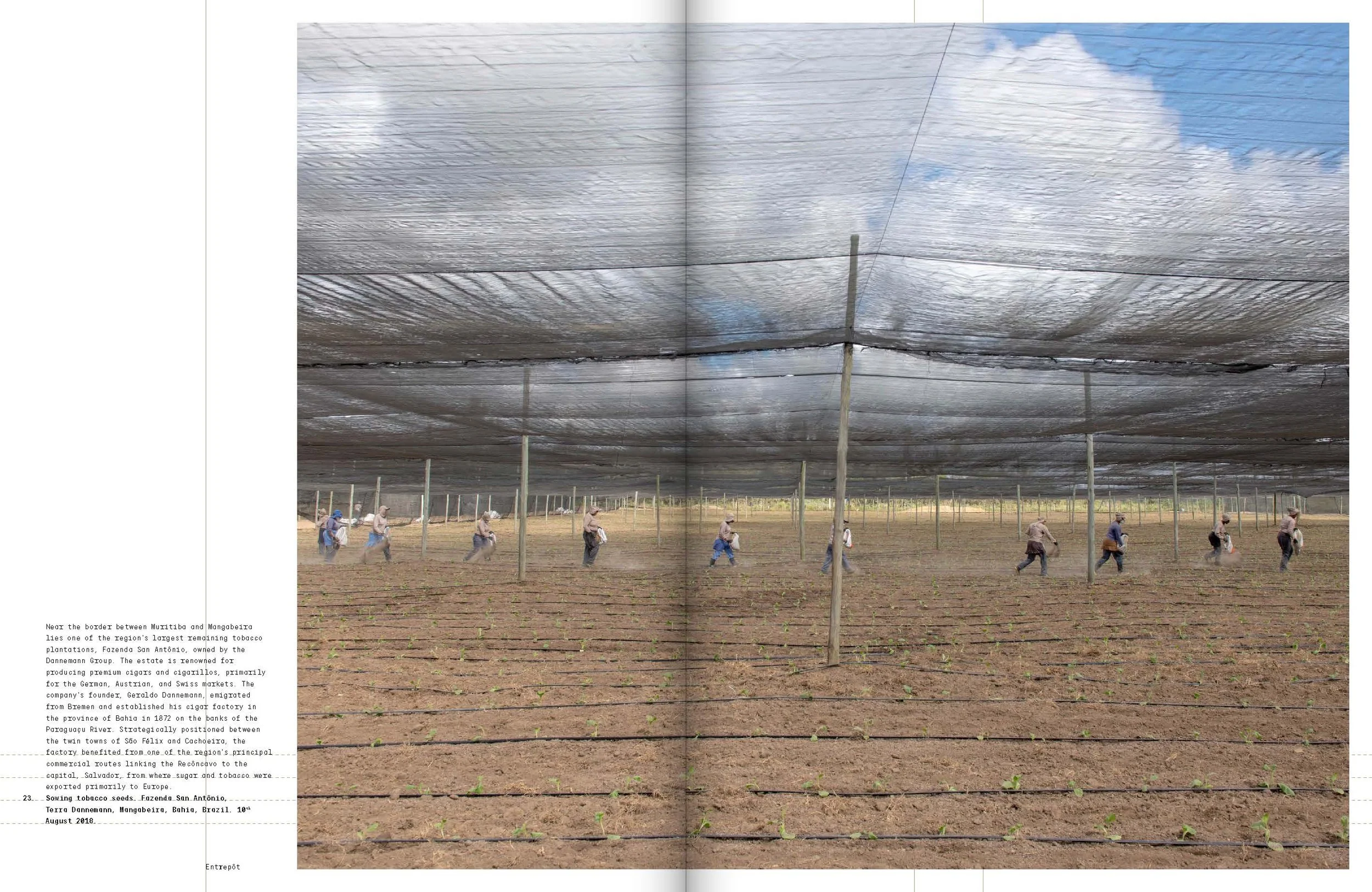 Entrepot_7. South America_27_Page_16.jpg