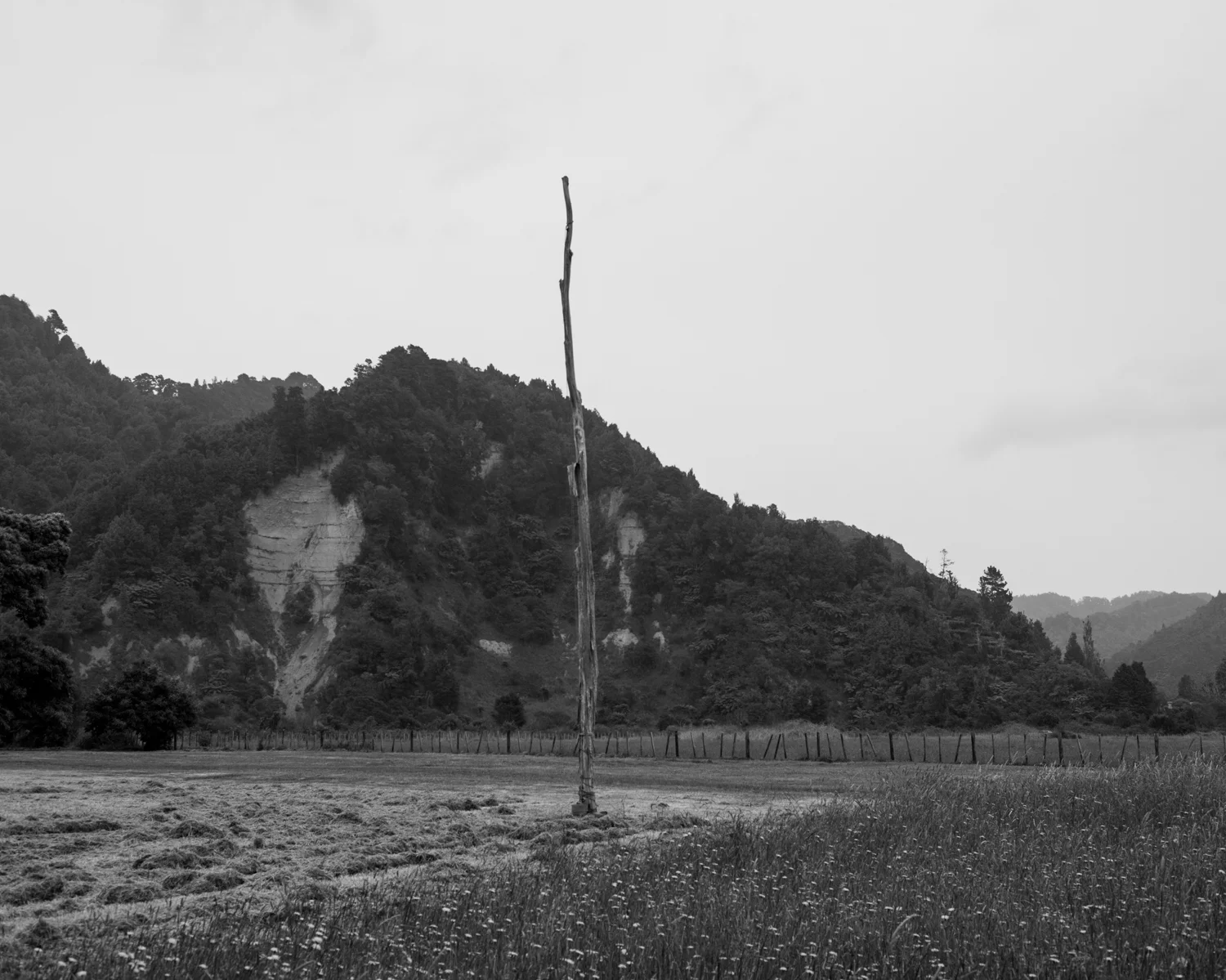 te_ahi_ka (24 of 79).jpg