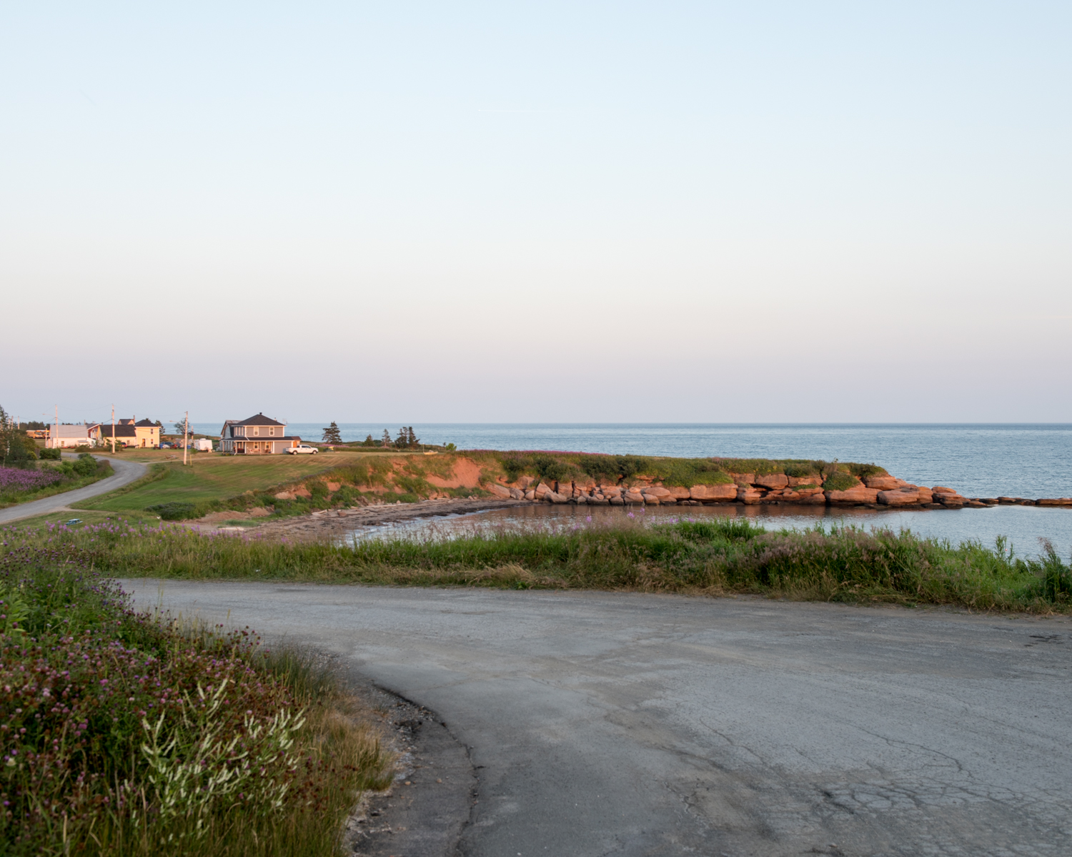 seaflower-7.jpg