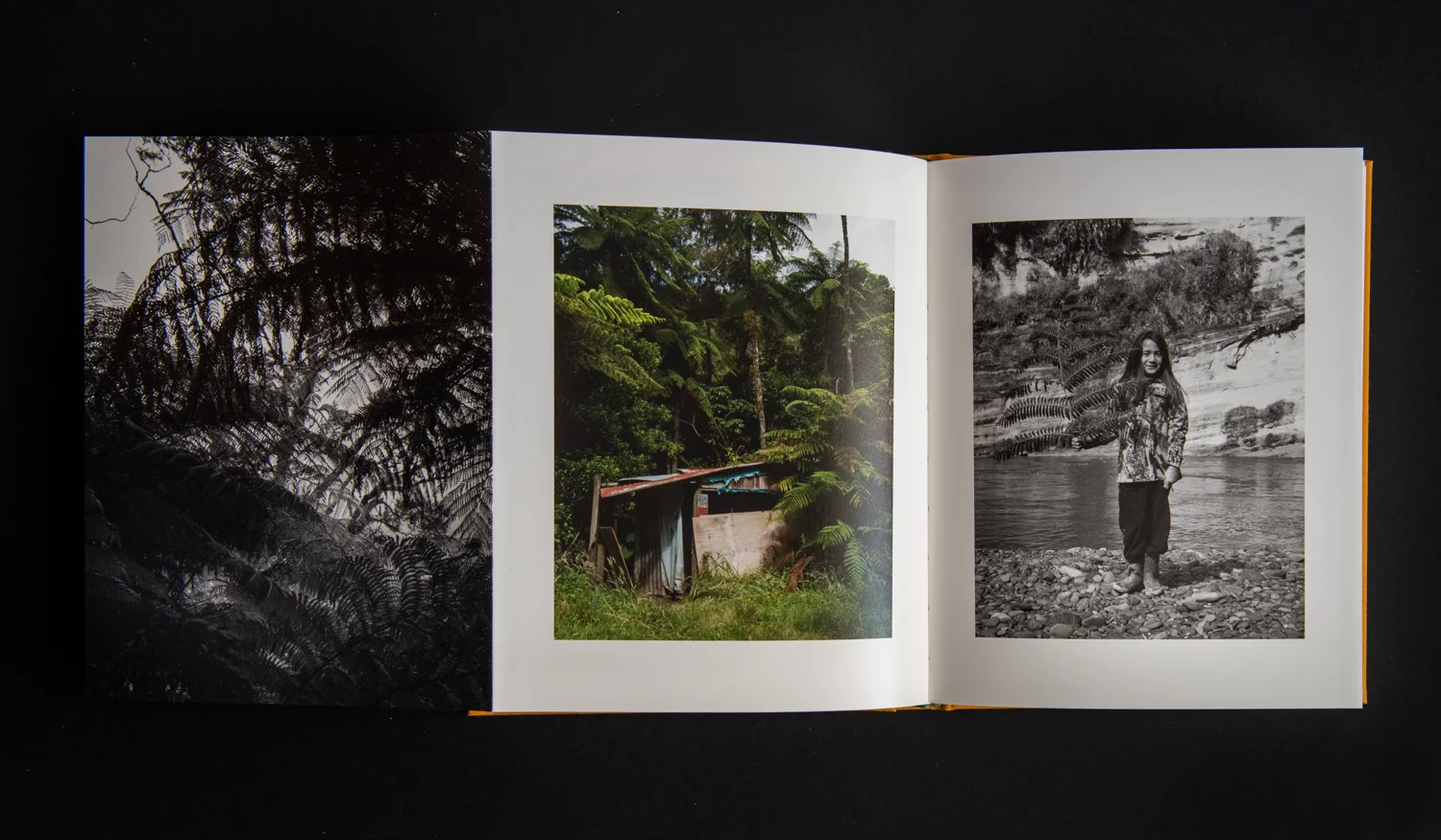 TE_AHI_KĀ_book-22.jpg