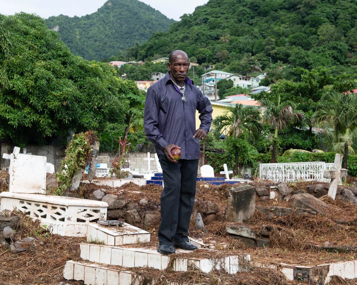 Entrepot_Dominica-6.jpg