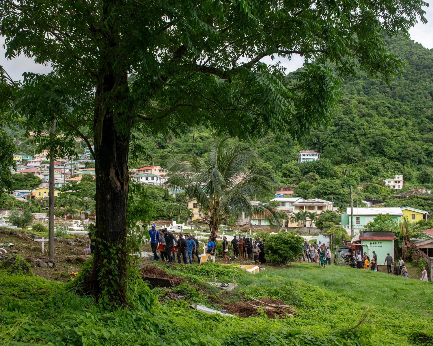 Entrepot_Dominica-7.jpg