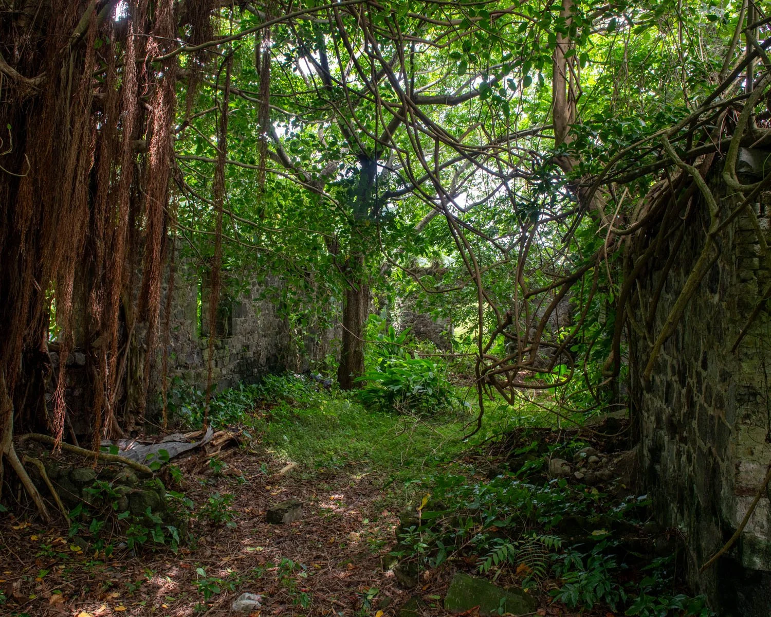 Entrepot_DOMINICA-18.jpg