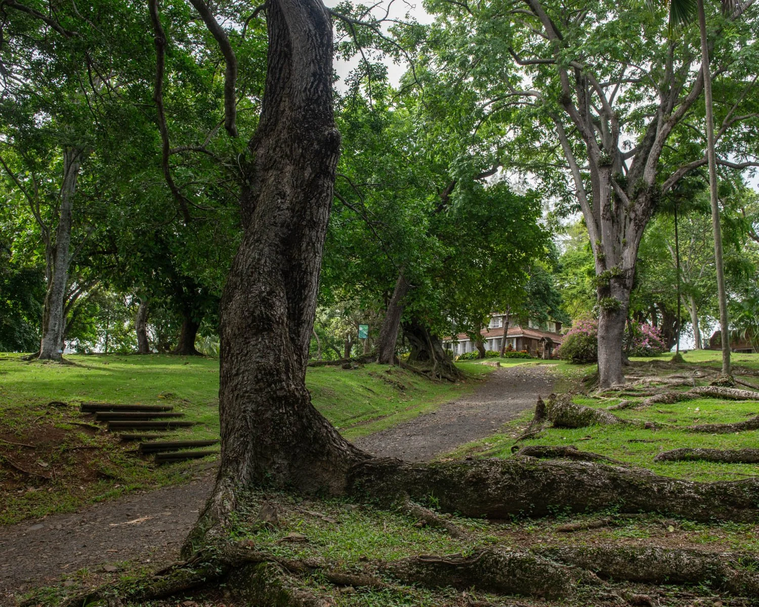 Entrepot_Martinique-2.jpg