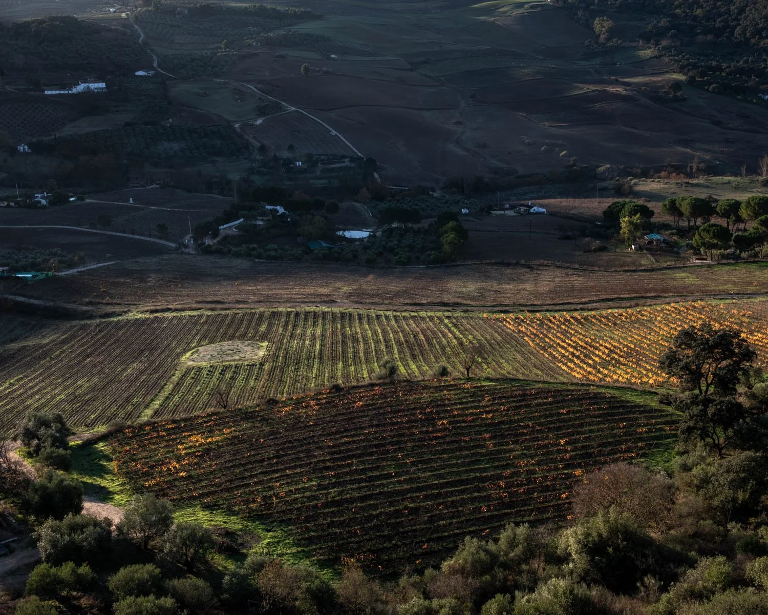 Entrepot_Mediterranean-35.jpg